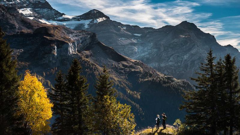 Facebook广告转化率优化：从广告到落地页的完整转化链路